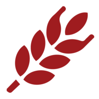 red solid wheat icon