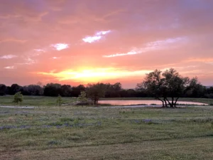 Professional pond builders designing a long-lasting pond on Texas land